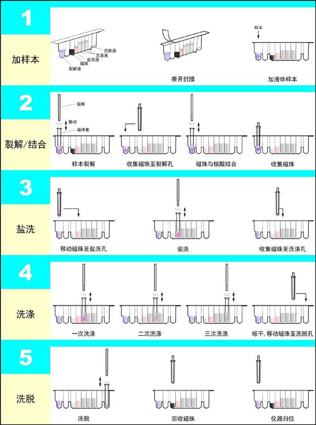 全自動(dòng)核酸提取儀